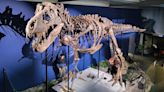 Portsmouth university team chosen for T. rex skeleton research