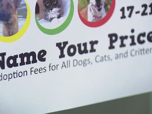 Humane Society for Tacoma & Pierce County offers 'name your price' promotion amid overcrowding at shelter