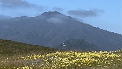 Marin hike: A spectacular hike on Ring Mountain