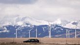 TransAlta scraps wind farm project as energy market changes loom for Alberta