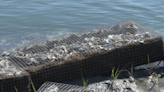 Multi-phase project rebuilds North Myrtle Beach living shoreline