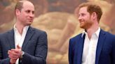 Harry bemused feud with William hasn't ended as he thought they'd have made up