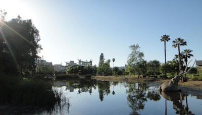 8 teens on La Brea Tar Pits trip hospitalized after ingesting 'cannabis edibles,' LAFD says