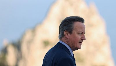 UK Foreign Minister Cameron plants a symbol of solidarity in Lviv — video