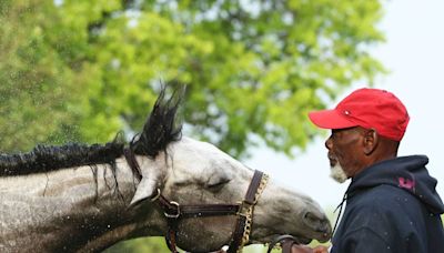 Here’s who owns every 2024 Kentucky Derby horse and how they amassed their fortunes.