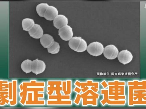 食人菌全日本染疫數破1100人創新高 5孕婦這時間點後感染身亡