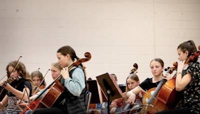 Local violinist starts orchestra program at Soda Springs middle school