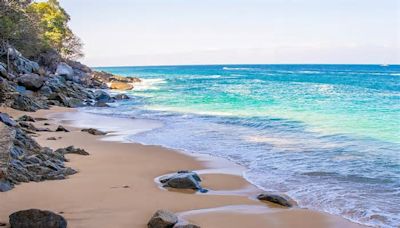 La Playa de Madagascar: Un Paraíso Natural en Puerto Vallarta