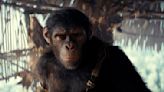 'Kingdom of the Planet of the Apes' reigns at box office with $56.5 million opening - The Morning Sun