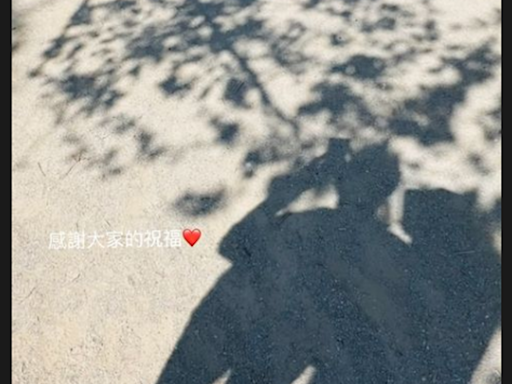 40歲鄧麗欣分手王子3年「公開認愛」 男友神似韓星Rain - 娛樂