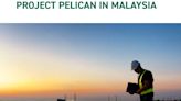 Use of recovery board for Project Pelican in Malaysia