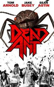 Dead Ant