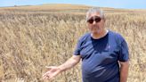 El centro-sur de Italia podría no tener agua para la agricultura en 3 semanas, alerta una entidad