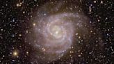 Dancing with the stars: Euclid captures sharp images of distant galaxies
