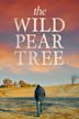 The Wild Pear Tree