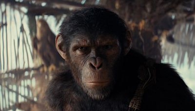 Does ‘Kingdom Of The Planet Of The Apes’ Have An End Credits Scene?