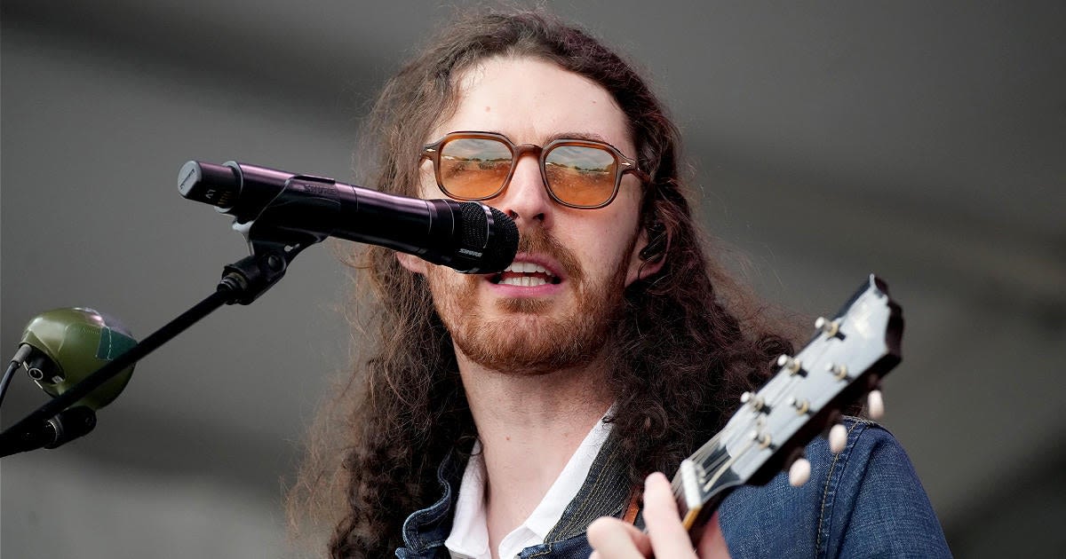 Hozier Concert Canceled 'for Health and Safety of Concertgoers'