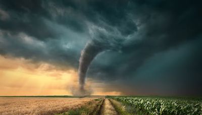 Twisters follows a superstar storm chaser – obsession with extreme weather has a deep underlying psychology - EconoTimes