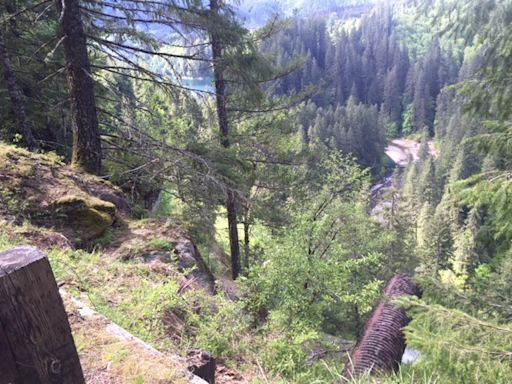 Two human skulls discovered in Gifford Pinchot National Forest within a month