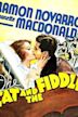 The Cat and the Fiddle (film)