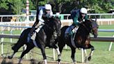 Belmont Stakes 2024 betting odds and predictions: Mystik Dan and Seize the Grey face off against tough field in Saratoga | amNewYork