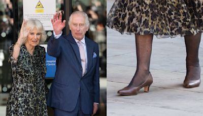 Queen Camilla Slips Into Classic Brown Pumps for Hospital Visit With King Charles