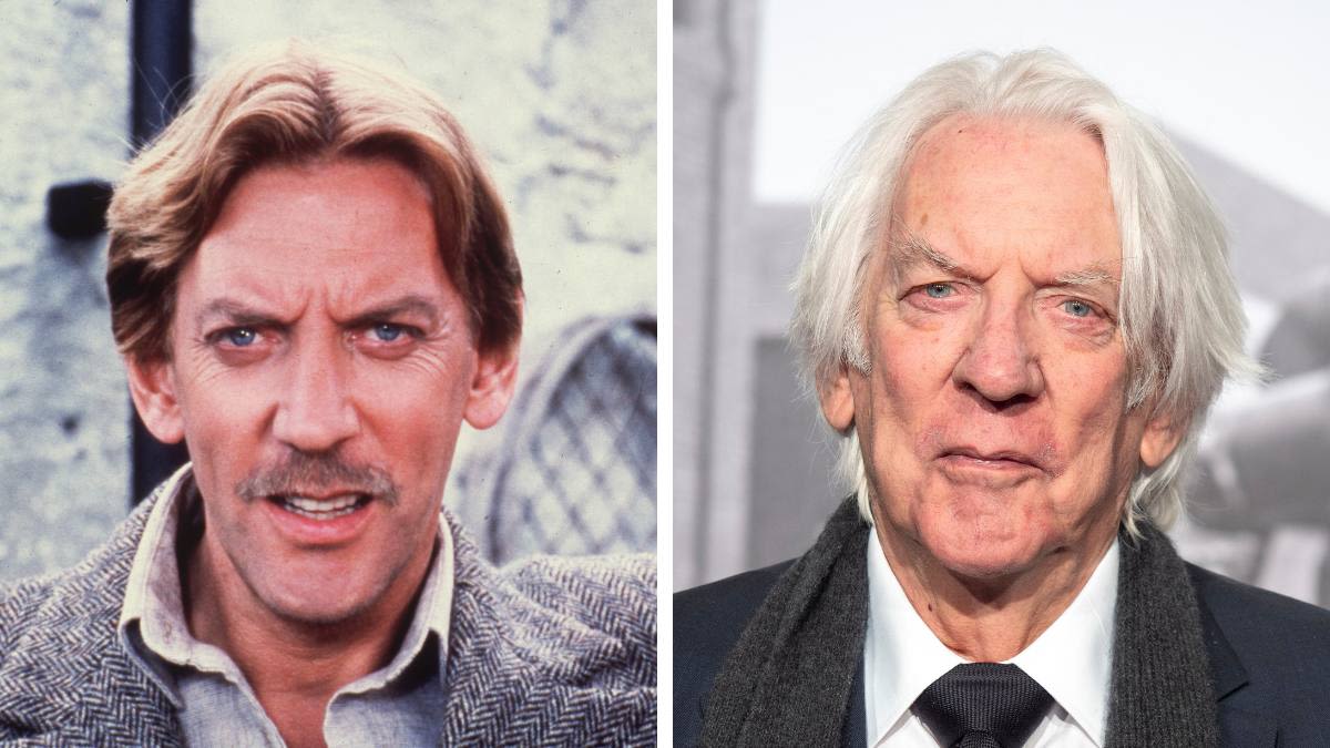 All About the Late 'Hunger Games' Star Donald Sutherland