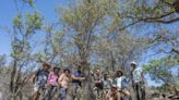 Oak Tree Thought to Be Extinct Discovered in Texas National Park