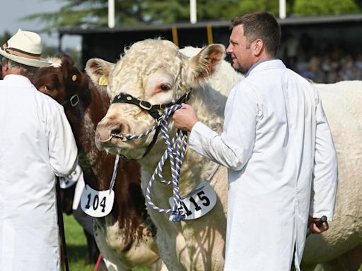 Farmers urged to cash in on Hollywood and TV filming opportunities