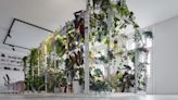 Beautiful Indoor Greenhouse Takes Poetizer’s Prague Offices to the Next Level