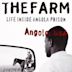 The Farm: Angola, USA