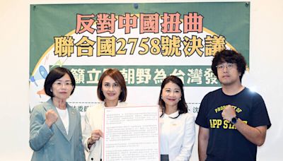 藍營稱「2758不涉台」會刺激中國 沈伯洋：根本不懂或沒看過內容