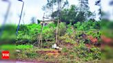 Over 650 EB poles damaged in Nilgiris in two weeks of rainfall | Coimbatore News - Times of India