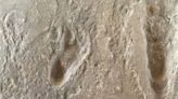 This 3.6-million-year-old footprint was made by our earliest known ancestor. Now it’s at risk of being lost forever | CNN