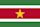 Flag of Suriname