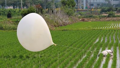 Trash balloons land near S Korea president's office