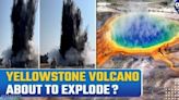 Yellowstone Explosion: Sudden Explosion at Yellowstone's Biscuit Basin Causes Damage, No Casualties