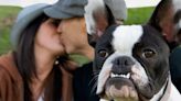 I don't like dogs, and it's messing up my dating life