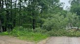 Washed out roads and trees down in Cass County, MN