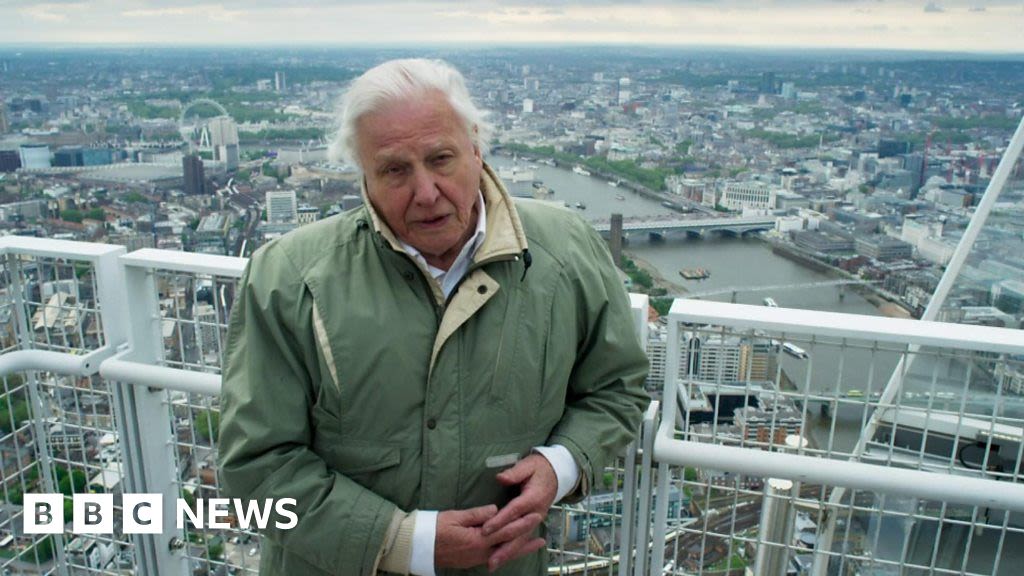 Attenborough's epic sign off