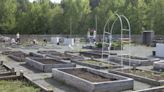 Elon, Eastlawn elementary school gardens act as outdoor classrooms