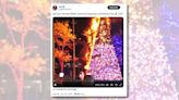 Fact Check: Video Doesn't Show 'Biden Voters Burning Down a Christmas Tree' in New York