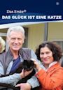 Das Glück ist eine Katze