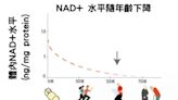 補充 NMN 增加體內 NAD+ 逆齡抗老新發現