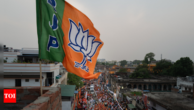Nacho Assembly Election Result 2024: BJP's Nakap Nalo wins | Itanagar News - Times of India