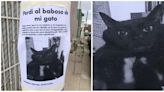 Tijuanense busca de forma muy singular a su gatito: “perdí al baboso de mi gato”