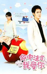 Fated to Love You (2008 TV series)