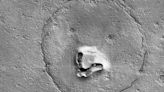 Bear on Mars? Photo from NASA shows an optical illusion or 'ursine pareidolia'