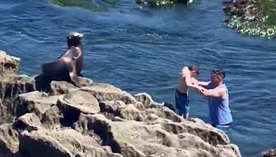 Astonishing moment man positions young boy dangerous close to sea lion