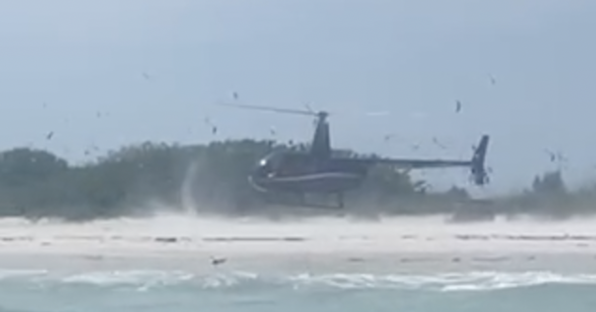 Video catches pilot landing helicopter on protected bird site in Florida